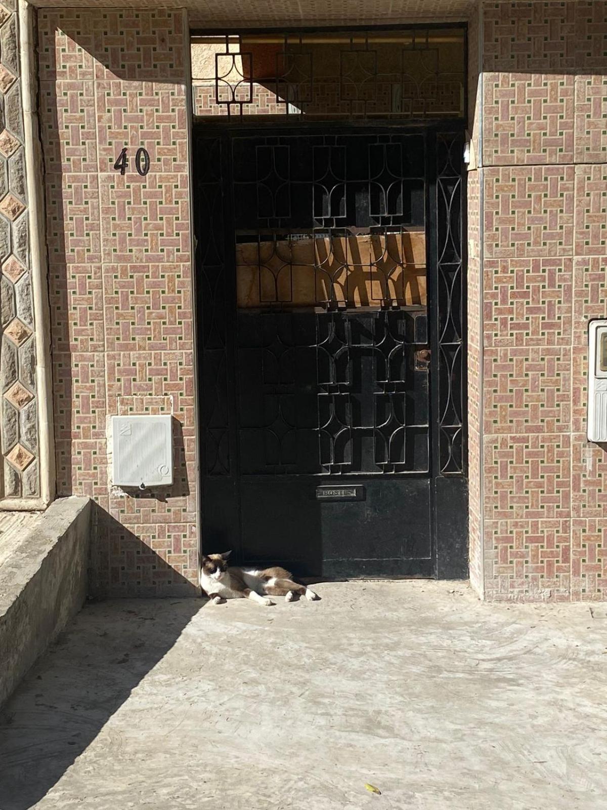 Dar Shamsy Hotel Souani  Екстериор снимка